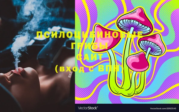 стаф Баксан