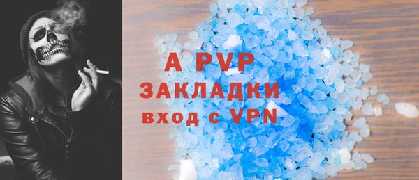 стаф Баксан