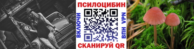 сколько стоит  Красный Холм  Псилоцибиновые грибы Magic Shrooms 